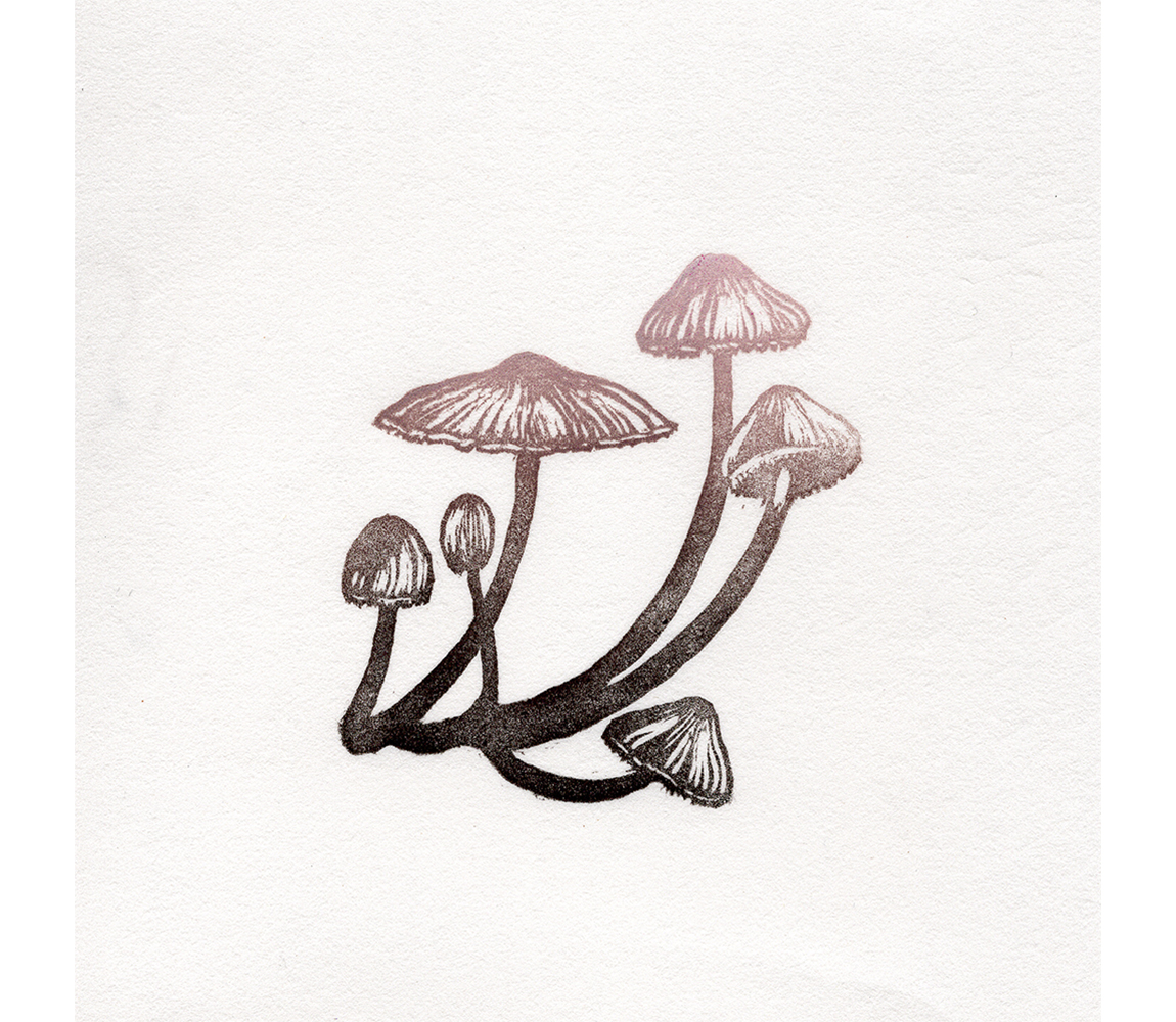 “Mycena” - Kristen Etmund